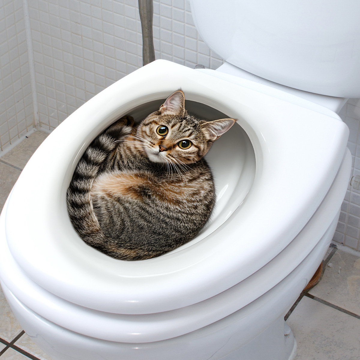 3D Funny Cat Toilet Sticker Ba - đánh giá và giá Tiny Home Bathroom Kit